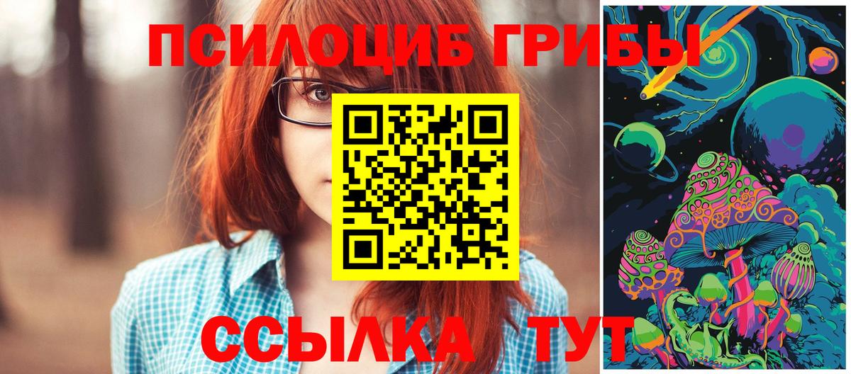 даркнет сайт  Галлюциногенные грибы Magic Shrooms  Вход с VPN  Нарткала 